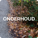 onderhoud